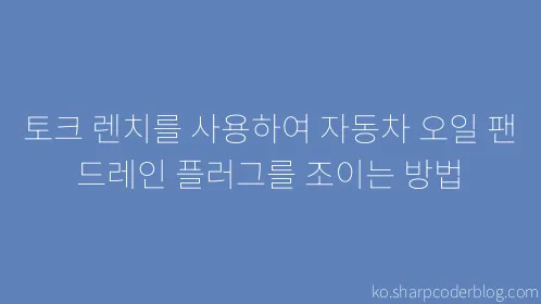 토크 렌치를 사용하여 자동차 오일 팬 드레인 플러그를 조이는 방법 - Thumbnail