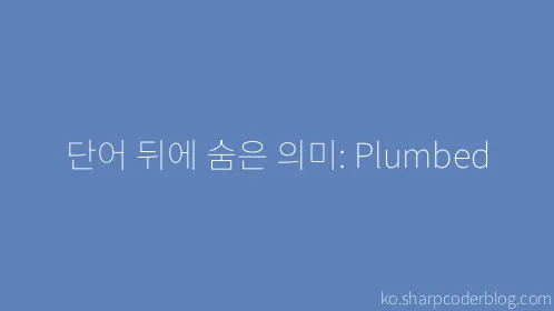단어 뒤에 숨은 의미: Plumbed - Thumbnail