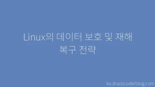 Linux의 데이터 보호 및 재해 복구 전략 - Thumbnail